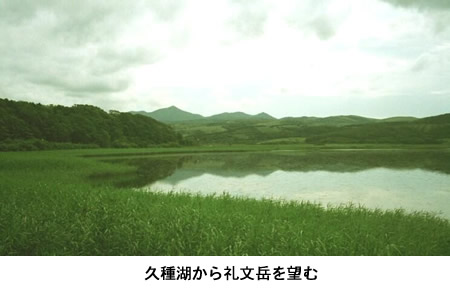 写真「久種湖から礼文岳を望む」